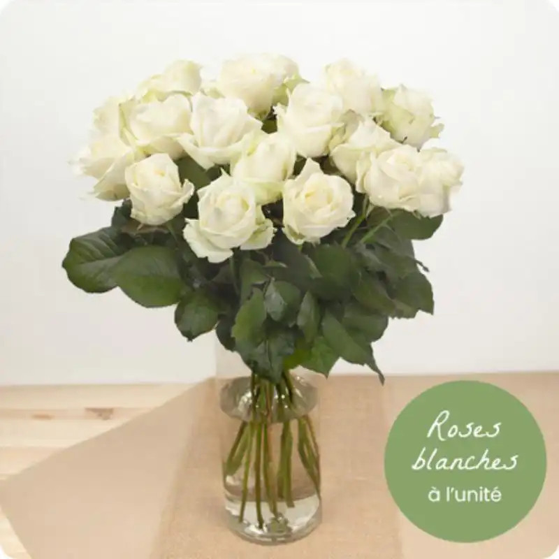 ROSES BLANCHES A LA TIGE ROSES BLANCHES A LA TIGE