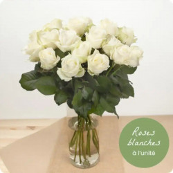 WHITE ROSES FOR MOURNING AT THE STEM
