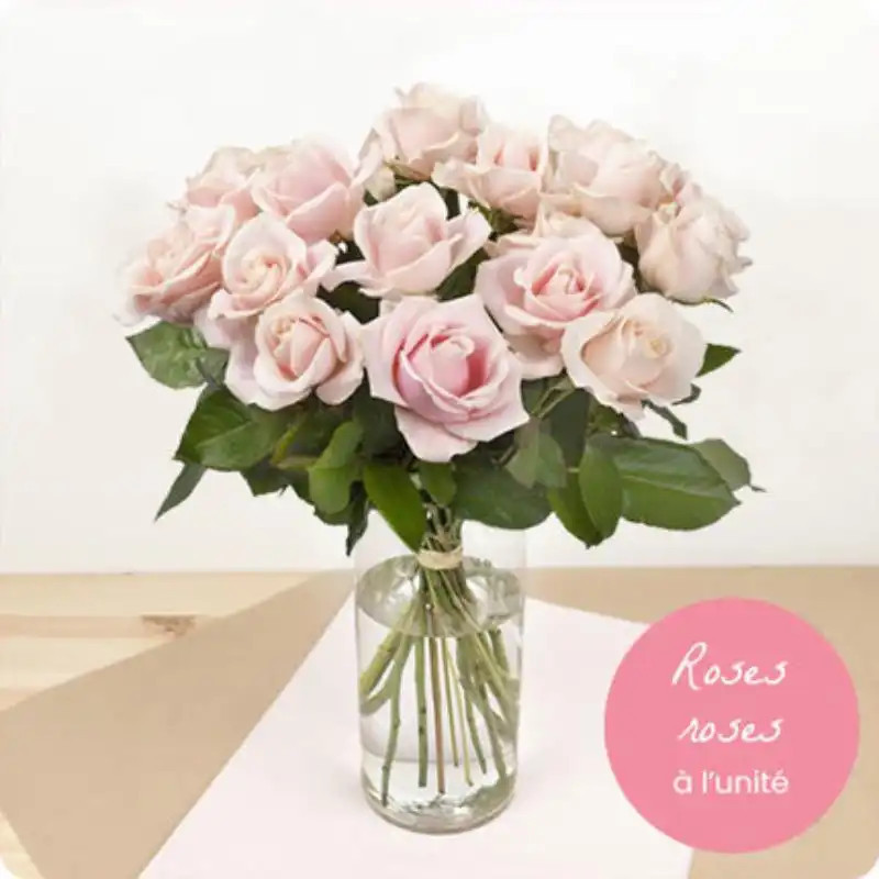 PINK ROSES FOR MOURNING AT THE STEM