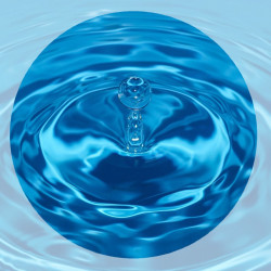 Bubble of water