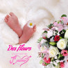 BIRTH FLOWERS