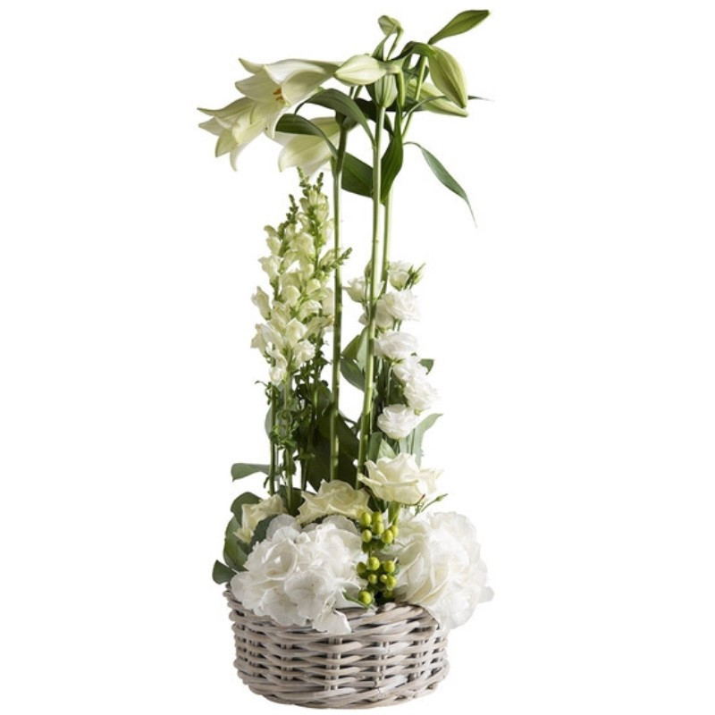 FLOWERS ARRANGEMENT ÉVIDENCE FLOWERS ARRANGEMENT ÉVIDENCE