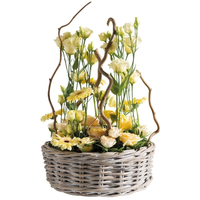 COMPOSITION DE FLEURS DOM-EXO PROMESSE COMPOSITION DE FLEURS DOM-EXO PROMESSE