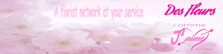 FLORISTS - Search for florists by department