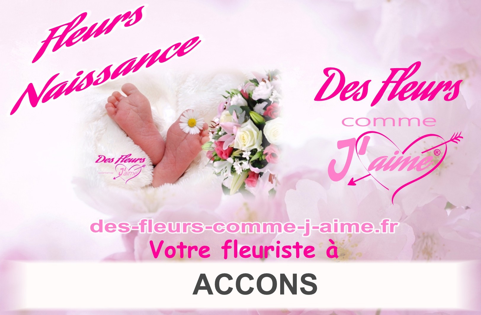 FLEURS NAISSANCE ACCONS