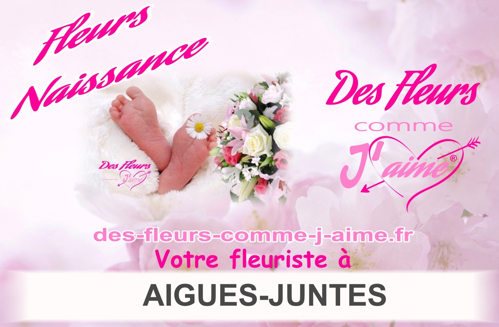 FLEURS NAISSANCE AIGUES-JUNTES