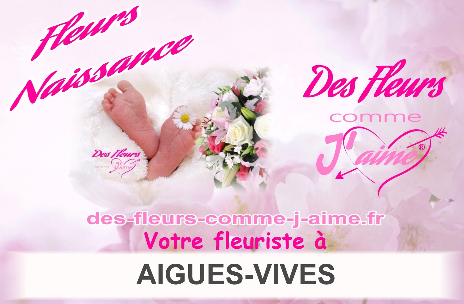 FLEURS NAISSANCE AIGUES-VIVES