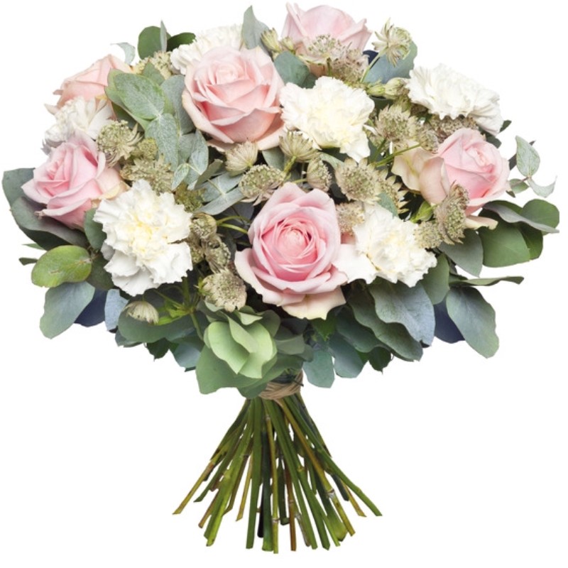 FLEURS NAISSANCE ALÈS